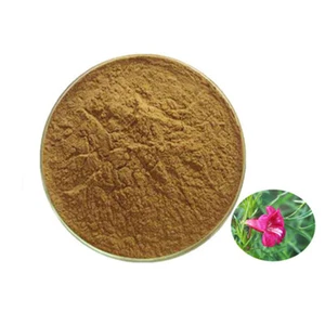 100% Pure Incarvillea Sinensis Powder 30:1 Extract 100g~500g - Picture 1 of 1