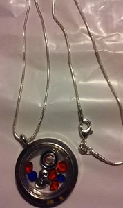 Chicago Cubs World Series Champ Inspired Necklace Memory Locket Heart Love Gems  - Picture 1 of 3