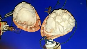 Par de magníficas lámparas de cameo de caracola talladas de principios del siglo XX - Imagen 1 de 12
