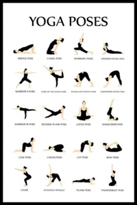 Carteles de entrenamiento para gimnasio en casa posturas de yoga tabla de referencia estudio poste blanco negro - Imagen 1 de 8