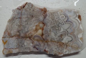 WRG- Mexican Crazy Lace Agate Slab 36 grams Mexico Lapidary Plume Moss - Picture 1 of 4