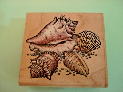 NEW Rubber Stampede Stamp A817E Ocean Seashells Collage Crown Conch Scallop Cone - Image 1 of 4