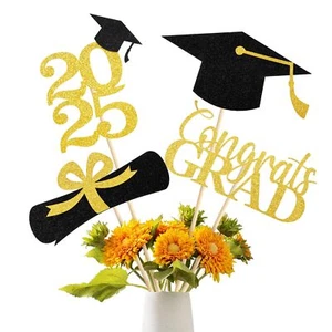 Graduation Decoration 2025 16 PCS Gold and Black Double Sided Sparkling Gradu... - Picture 1 of 6