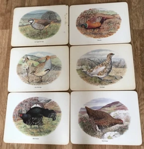 GAME BIRDS ~ VINTAGE PLACEMATS x 6, No Box - Picture 1 of 9