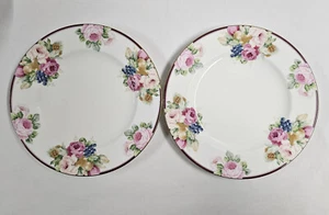 Juego de 2 platos de cena Mikasa Rosemead de 10 5/8" como nuevos - Imagen 1 de 4