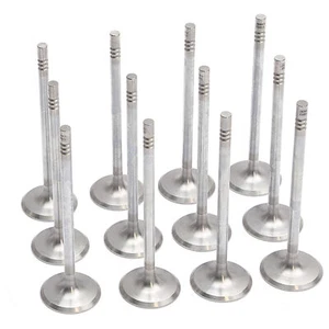 Intake Valve Set Fit For Maserati M156B 3.0T Ghibli Quattroporte Levante V6 - Picture 1 of 11
