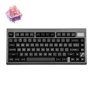 Epomaker TH80 Pro V2 75% Tastiera da Gioco Wireless, Nero, QWERTy US, Flamingo - Foto 1 di 11