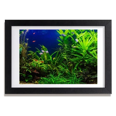 Tulup Bild MDF gerahmte Wand Dekor 30x20cm Fische in einem Aquarium - Bild 1 von 4