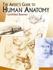 Gottfried Bammes The Artist's Guide to Human Anatomy (Taschenbuch)