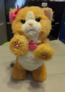 FurReal Friends Gänseblümchen Play With Me orange Kätzchen Katze Plüschtier interaktives Spielzeug Hasbro - Bild 1 von 9