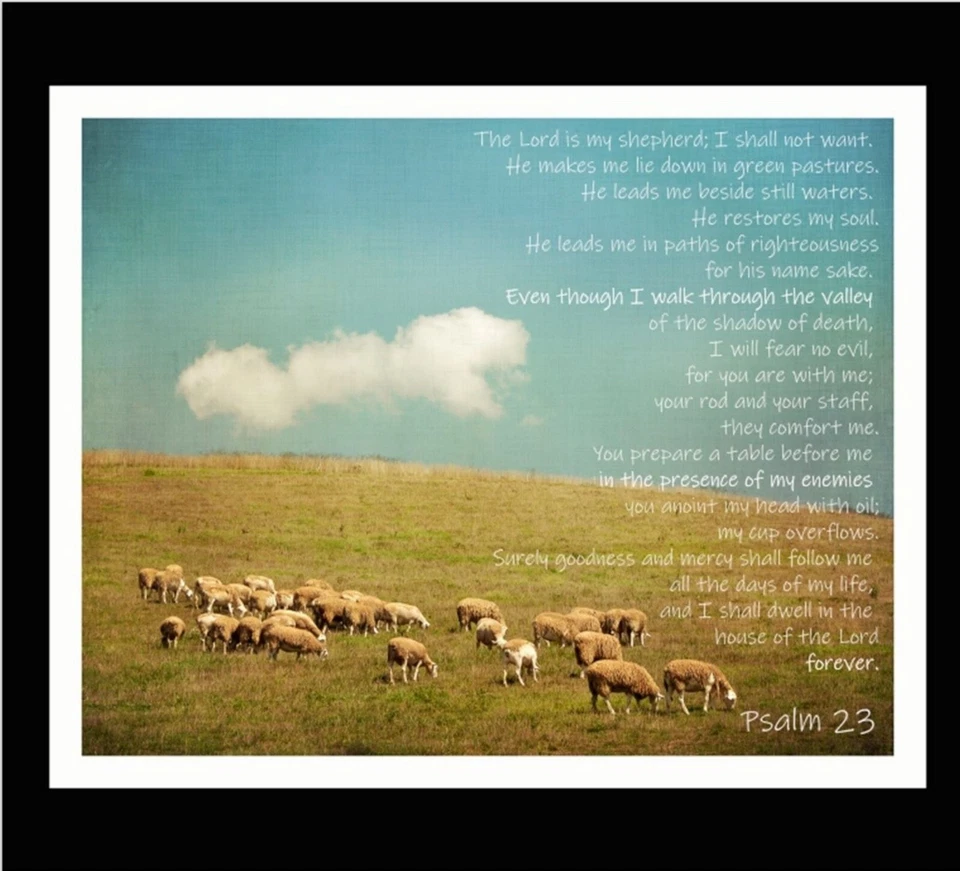 El Salmo 23 Religioso Edredón Superior Panel Colgante de Pared Tela Ovejas Pastoreo Foto 1 de 1