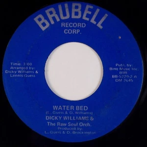 DICKY WILLIAMS & RAW SOUL: Water Bed US Brubell Wash, DC Northern Soul 45 MP3 - Picture 1 of 2