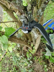 Maßgeschneiderter schwarzer Fledermaus-Cache-Behälter für Geocaching wird mit einem Logbuch geliefert - Bild 1 von 4