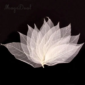 Candles Packages Scrapbooking Cards Decor Natural Leaves Magnolia Leaf - Picture 1 of 12