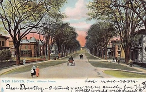 Hillhouse Avenue New Haven Connecticut 1905c postcard - Picture 1 of 2