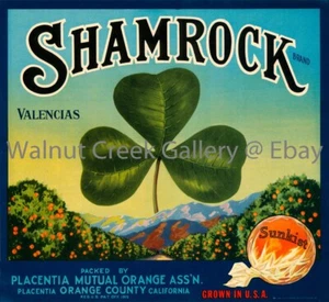 Californa Fruit Crate Label Fine Art Print, clover , approx 10.9" x 11.9" 12737 - Picture 1 of 1
