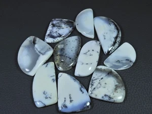 10Pcs Natural Dendrite Opal Fancy Shape Cabochon Loose Gemstone Lot 306cts. K296 - Bild 1 von 9