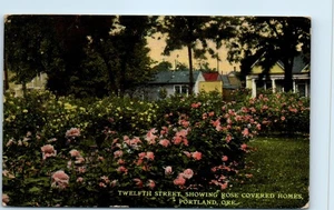 Twelfth Street Showing Rose Covered Homes, Portland, Oregon Postcard c1915 - Picture 1 of 2