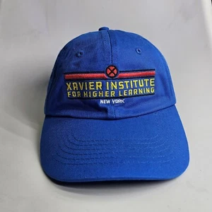 Xavier Institue New York Youth Baseball Hat Cap Adj Blue Funko Marvel XMen m6a - Picture 1 of 10