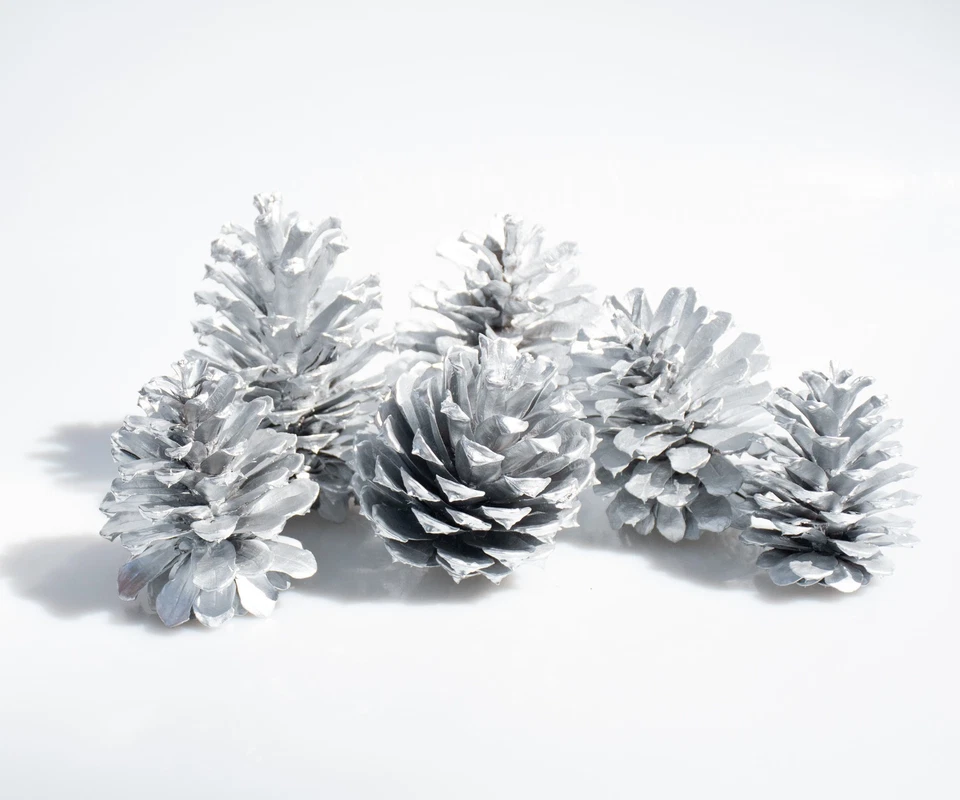 Conos de pino de plata, juego de conos de pino real pintados a mano de 6/12/18 Foto 1 de 1