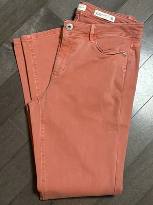J.Jill Denim Authentic Fit Slim Ankle Pants Women’s Size 10R Coral Stretch Jeans - Image 1 of 4
