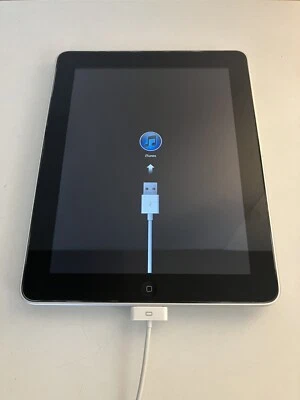 Apple iPad 1 Model A1219 Wi-Fi 64GB iOS - NON Testato - Per Parti di Ricambio - Imagen 1 de 4