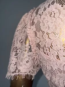ZARA DUSTY PINK DRESS, GIPIUR/LACE DRESS WITH SLIP, Evening Lace Dress New S - Picture 1 of 10