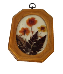 Vintage Lucite Convex Pressed Flowers Wall Hanging Plaque 70's Acrylic Bubbles - Bild 1 von 6