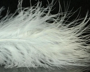 White (Natural) Turkey Blood Quill Marabou Feathers Crafts Fly 50 Pc 4-4 1/2" - Picture 1 of 10