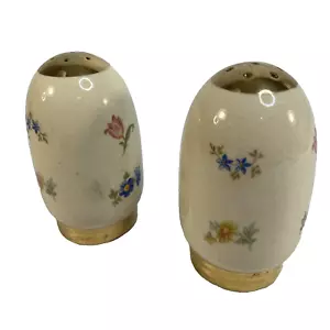 Coppia Vintage Shaker Sale e Pepe Fantasia Floreale Con Accenti Oro Ceramica - Foto 1 di 6