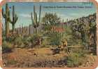 Metal Sign - Arizona Postcard - Young deer in Tucson Mountain Park, Tucson, Ari