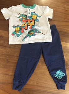TMNT TEENAGE MUTANT NINJA TURTLES TODDLER BOY OUTFIT NICKELODEON SIZE 2T VGUC - Picture 1 of 4