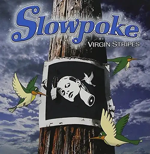 Slowpoke - Virgin Stripes - Bild 1 von 1