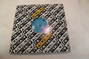 PAM ANDERSON :BEG, BORROW AND STEAL" DISCO POP 12" VINYL PROMO SINGLE 1987 FANTA - Picture 1 of 4