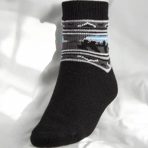 Northeast Outfitters Cozy Cabin Bear-Tec Herrensocken schwarz NEU Large - Bild 1 von 7