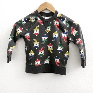 HANNA ANDERSSON Organic Cotton Blend Bear Print Sweatshirt Size 4 - Picture 1 of 9