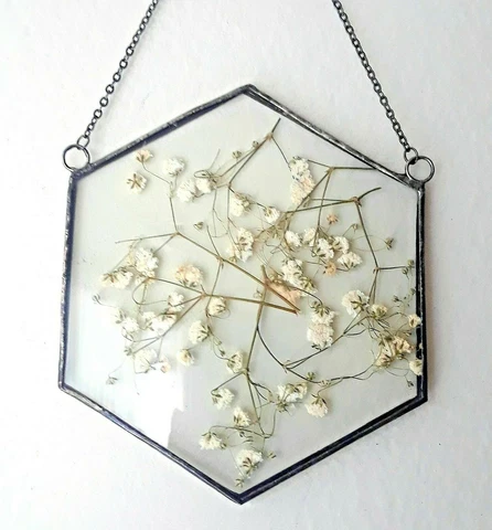 Pressed flowers wall decor baby's breath flowers floral hanging nature art Cover