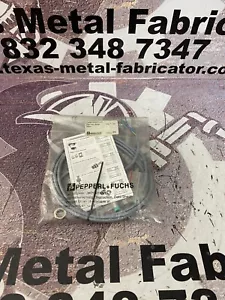 Pepperl Fuchs NBN4-12GM60-WS Inductive Proximity Swtich 2M Cable 4mm Range - Picture 1 of 3