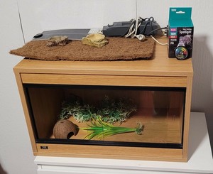 vivarium accessories