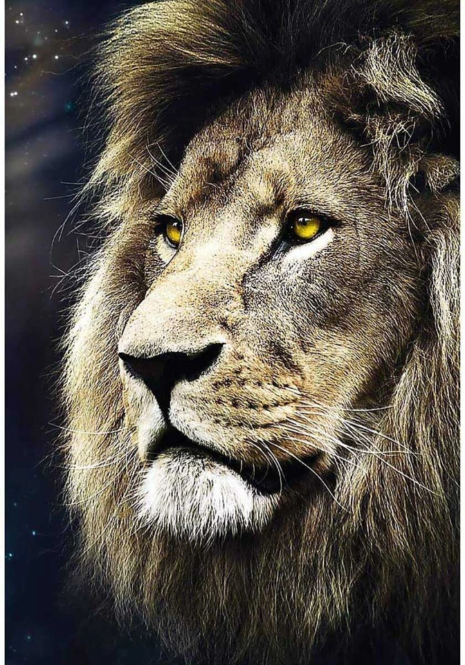 Trefl Premium Puzzle 1500 Pieces - Portrait a Lions Top
