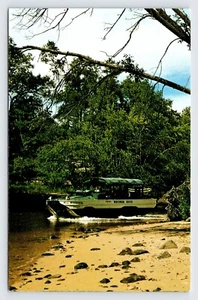 Ente in Dell Creek, Wisconsin Enten, Dells, Vintage Postkarte P13 - Bild 1 von 2