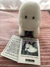 Plush Toy Sun Arrow Ghost Terriot with Tag and Picture Books