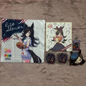 Uma Musume Reis Duschwaren Set Plüsch Schlüsselanhänger Abzeichen Clip Konvolut Artikel selten - Bild 1 von 24
