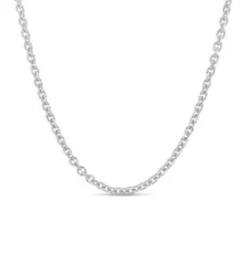 Olive & Chain 14k White Gold Cable Anchor Chain Necklace - Picture 1 of 31