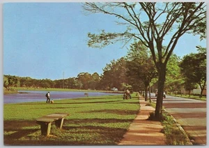 Sao Paulo Brazil Vintage Postcard Ibrapuera Park - Picture 1 of 2