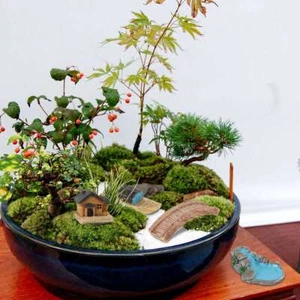 10 Pcs Figure Miniature Landscape Garden Resin Ornaments Statue Flowerpot Decor - Bild 1 von 12