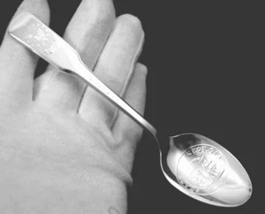 NOS GEORGIA BICENTENNIAL COLLECTOR SPOON ~ STATE SEAL by INTERNATIONAL SILVER - Bild 1 von 4