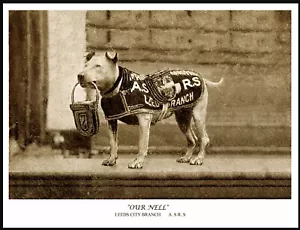 STAFFORDSHIRE BULL TERRIER COLLECTING DOG VINTAGE STYLE DOG PHOTO PRINT POSTER - Picture 1 of 1