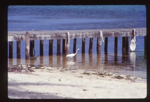 Vintage Film Slide Jamaica - Picture 1 of 1