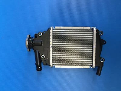 RADIATORE ACQUA RADIATOR HONDA PCX 125 DAL 2012 AL 2015 NUOVO ORIGINALE - Imagen 1 de 3